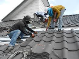 Best Roof Maintenance and Cleaning  in Eerlin, ND